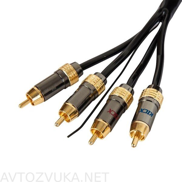 rca06-3_1000_1000_2_100