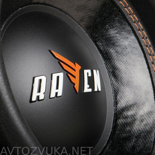 Raven_10_5-920x920