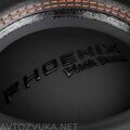 Phoenix Black Bass 10