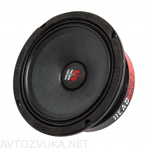 Headshot LS65