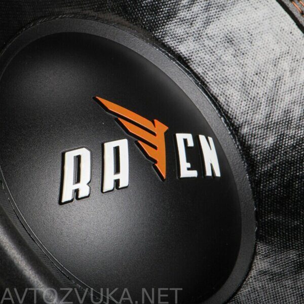 Raven_12_5-920x920