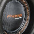 Phoenix 8