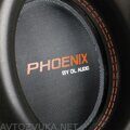 Phoenix 10