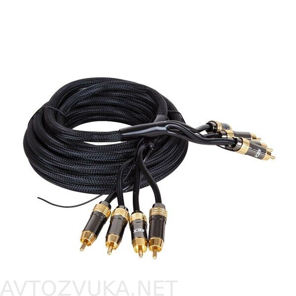 rca06-2_1000_1000_2_100