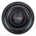 Phoenix 10